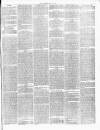 Cannock Chase Examiner Saturday 29 May 1875 Page 3