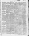 Cannock Chase Examiner Friday 30 March 1877 Page 5
