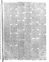 Stockton Examiner and South Durham and North Yorkshire Herald Saturday 16 November 1878 Page 3