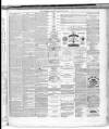 St. Helens Examiner Saturday 15 January 1881 Page 7