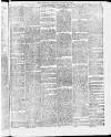 Tamworth Miners' Examiner and Working Men's Journal Saturday 23 January 1875 Page 3