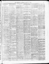 Tamworth Miners' Examiner and Working Men's Journal Saturday 06 February 1875 Page 3