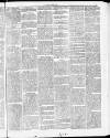 Tamworth Miners' Examiner and Working Men's Journal Saturday 20 February 1875 Page 3
