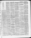 Tamworth Miners' Examiner and Working Men's Journal Saturday 06 March 1875 Page 3