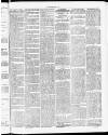 Tamworth Miners' Examiner and Working Men's Journal Saturday 13 March 1875 Page 3