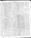Tamworth Miners' Examiner and Working Men's Journal Saturday 03 April 1875 Page 3