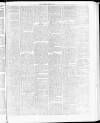 Tamworth Miners' Examiner and Working Men's Journal Saturday 10 April 1875 Page 5