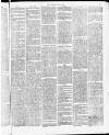 Tamworth Miners' Examiner and Working Men's Journal Saturday 24 April 1875 Page 3