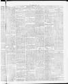 Tamworth Miners' Examiner and Working Men's Journal Saturday 01 May 1875 Page 5