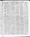 Tamworth Miners' Examiner and Working Men's Journal Saturday 08 May 1875 Page 3