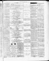 Tamworth Miners' Examiner and Working Men's Journal Saturday 08 May 1875 Page 7