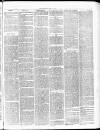 Tamworth Miners' Examiner and Working Men's Journal Saturday 15 May 1875 Page 3