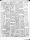 Tamworth Miners' Examiner and Working Men's Journal Saturday 22 May 1875 Page 3