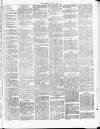 Tamworth Miners' Examiner and Working Men's Journal Saturday 12 June 1875 Page 3