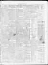 Tamworth Miners' Examiner and Working Men's Journal Saturday 24 July 1875 Page 5