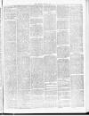 Tamworth Miners' Examiner and Working Men's Journal Saturday 07 August 1875 Page 3