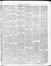 Tamworth Miners' Examiner and Working Men's Journal Saturday 04 September 1875 Page 3