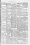 Tamworth Miners' Examiner and Working Men's Journal Saturday 25 December 1875 Page 3