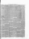 Denton and Haughton Examiner Saturday 07 September 1878 Page 7