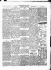 Ashby-de-la-Zouch Gazette Saturday 26 March 1881 Page 5