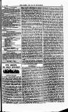 The Queen Saturday 16 January 1886 Page 19