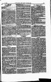 The Queen Saturday 13 March 1886 Page 39