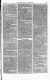 The Queen Saturday 05 February 1887 Page 31