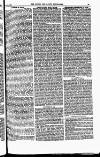 The Queen Saturday 28 January 1888 Page 19