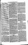The Queen Saturday 27 October 1888 Page 33