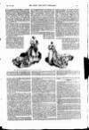 The Queen Saturday 16 March 1895 Page 41