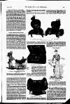 The Queen Saturday 22 July 1899 Page 47