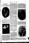 The Queen Saturday 02 September 1899 Page 37