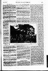 The Queen Saturday 02 August 1902 Page 21