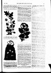 The Queen Saturday 01 November 1902 Page 63