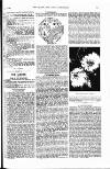 The Queen Saturday 07 October 1905 Page 95