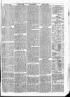 Sheerness Times Guardian Saturday 27 March 1869 Page 7