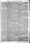 Sheerness Times Guardian Saturday 22 January 1870 Page 3