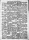 Sheerness Times Guardian Saturday 10 December 1870 Page 3