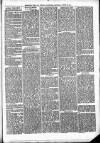 Sheerness Times Guardian Saturday 19 August 1871 Page 3