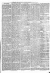 Sheerness Times Guardian Saturday 01 February 1873 Page 7