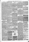 Sheerness Times Guardian Saturday 24 May 1873 Page 5