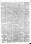 Sheerness Times Guardian Saturday 01 November 1873 Page 3