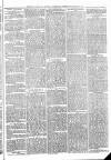 Sheerness Times Guardian Saturday 22 November 1873 Page 3