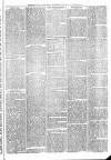 Sheerness Times Guardian Saturday 22 November 1873 Page 7