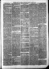 Sheerness Times Guardian Saturday 10 January 1874 Page 7