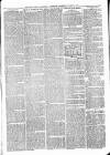 Sheerness Times Guardian Saturday 05 December 1874 Page 7