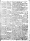 Sheerness Times Guardian Saturday 02 January 1875 Page 3