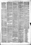 Sheerness Times Guardian Saturday 29 January 1876 Page 7