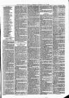 Sheerness Times Guardian Saturday 11 March 1876 Page 7