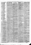 Sheerness Times Guardian Saturday 18 March 1876 Page 7